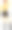 女人穿着夜总会服装半平色图片下载