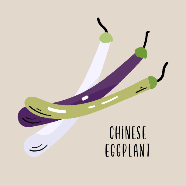 长茄子紫色，绿色和白色。亚洲蔬菜秋季收获矢量插图图片下载