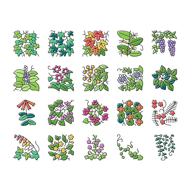 正上方白色背景下的食物照片图片下载