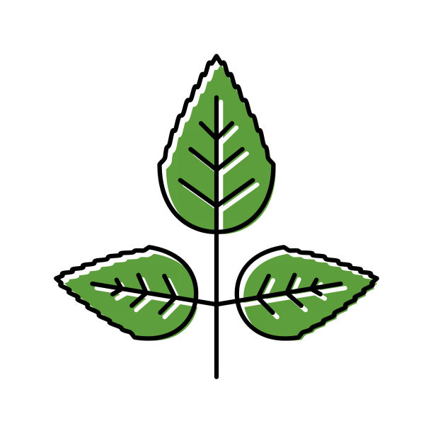 玫瑰花叶颜色图标矢量插图图片下载