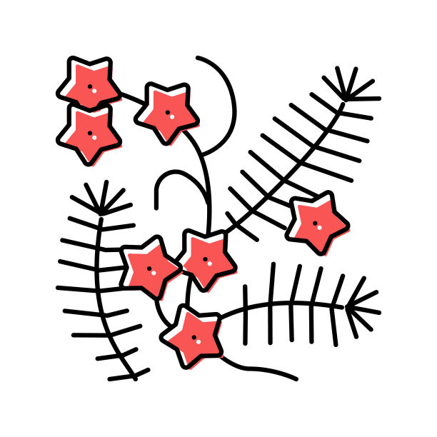 柏树藤本颜色图标矢量插图图片下载