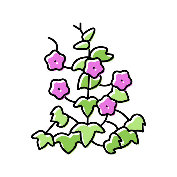 牵牛花颜色图标矢量插图图片下载