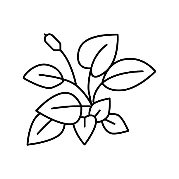 阿努比亚娜娜线图标矢量插图图片下载