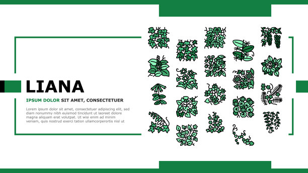 藤本藤本植物外来生长植物着陆头部矢量图片下载