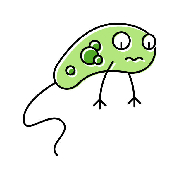 人类细菌病毒彩色图标载体插图图片下载