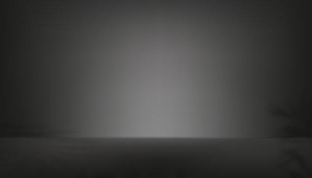 3d工作室房间灰色水泥与棕榈叶阴影图片下载