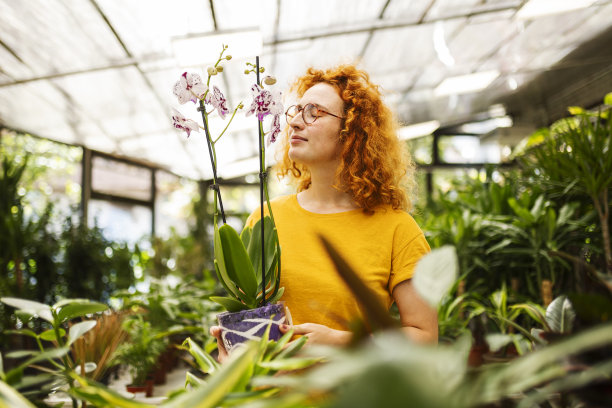 美丽的女人选择一种有香味的植物回家图片下载