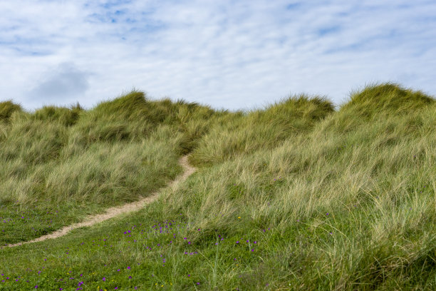 西顿水闸海滩的沙丘图片下载