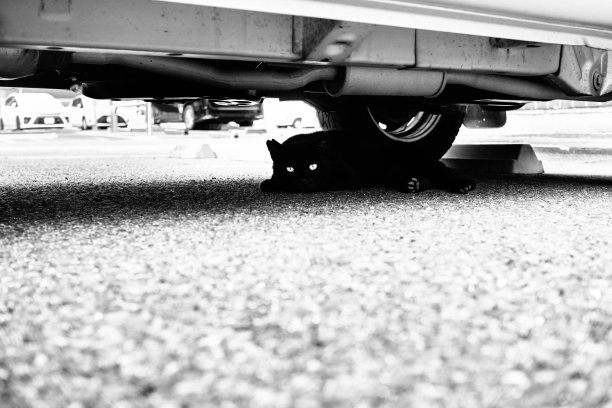 一只黑猫懒洋洋地躺在一辆汽车下的图像图片下载