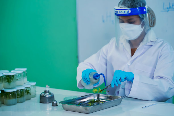 一组科学家研究和实验植物组织培养。以植物研究实验室为重点，教育理念图片下载