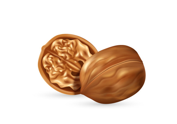 核桃仁在开壳现实图标美味图片下载