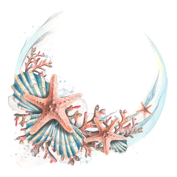 一个半圆形的框架，上面有海珊瑚、贝壳、海星和海浪。水彩插图。用于证书、海报、明信片、广告、标志、沙滩配件的注册和设计。图片下载