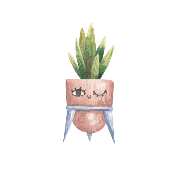 可爱幼稚的水彩插图与有趣的家庭花盆植物，花卉，家居设计图片下载