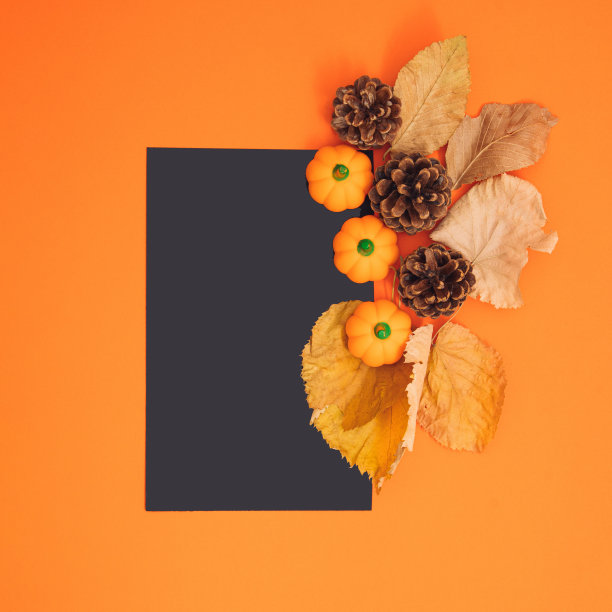 特写笔记本在橙色背景。用秋天的黄叶、松果和南瓜装饰。俯视图图片下载