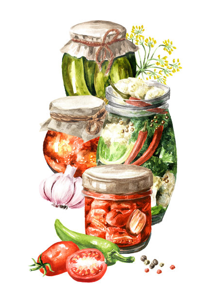 自制罐装蔬菜水彩手绘插图孤立在白色背景图片下载