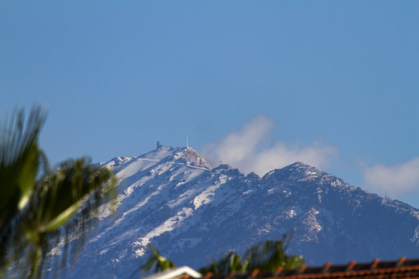 雪山的照片，旁边有棕榈树图片下载