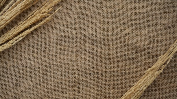 在棕色纹理背景上分离的小麦穗图片下载