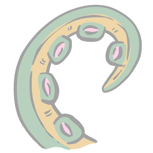 章鱼触手怪物卡通插图为标志设计在矢量图片下载