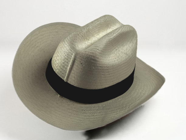 Aguadeño Hat图片下载