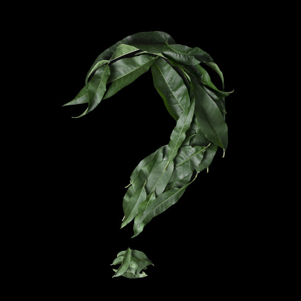 问号来自绿叶图片下载