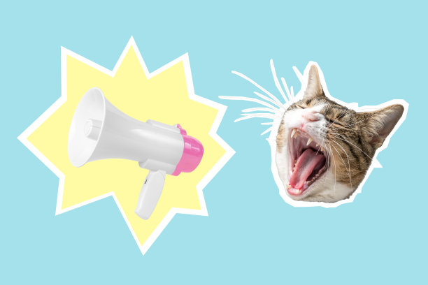 猫头配白粉色扩音器，拼贴波普艺术概念设计。最小的广告背景。图片下载