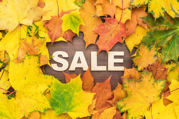 在秋叶上推手推车图片下载