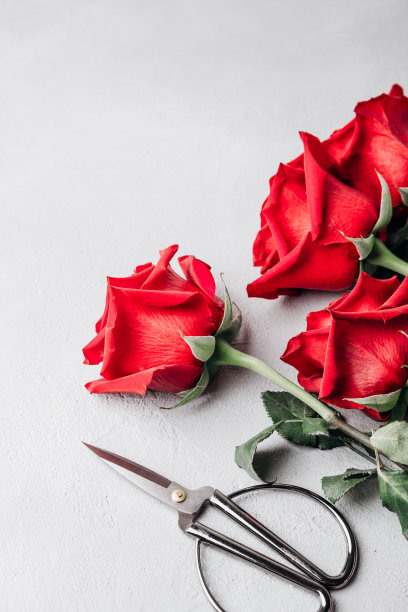 组成一束红玫瑰。小生意。送花，创造秩序。恭贺佳节图片下载