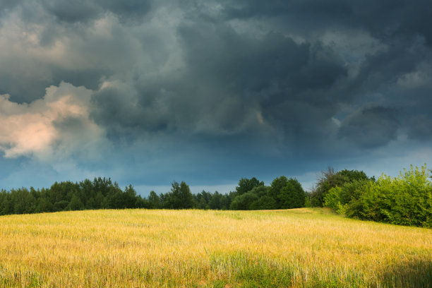 白俄罗斯的田园乡村景观图片下载