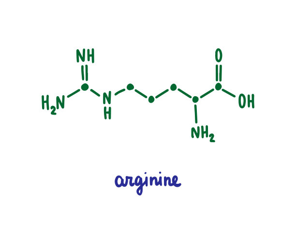 精氨酸手绘矢量公式化学结构字母蓝色绿色图片下载