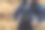 不可辨认的旅行女人与背包和数码相机的带子站在路线上的远足图片下载