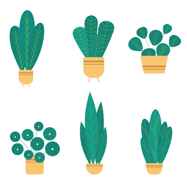 把室内植物和花卉放在陶瓷花盆里。图片下载