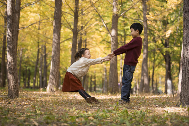 中国孩子的弟弟和妹妹在秋天的树林里玩耍-库存照片图片下载