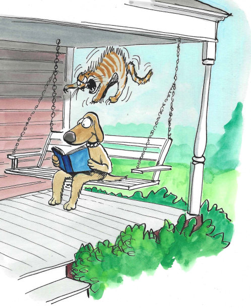 猫攻击狗图片下载