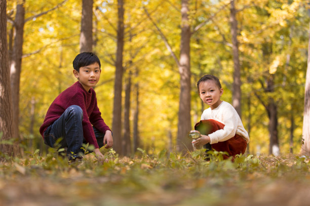 中国小孩的弟弟和妹妹在秋天的树林里玩放大镜图片下载
