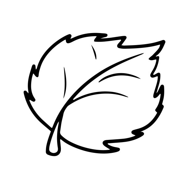 单色图片，秋天椴树叶，落叶，矢量卡通图片下载