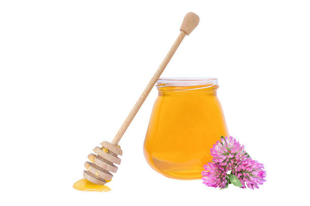 新鲜的蜜蜂蜂蜜在白色的背景，三叶草花图片下载
