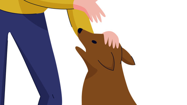 男人抚摸狗的作文图片下载