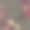 漂亮的插花边束上图片下载