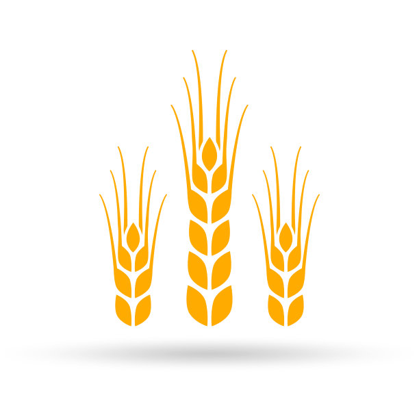 麦穗图标或标志。大麦，谷物，谷物符号。农业设计元素。矢量插图。图片下载