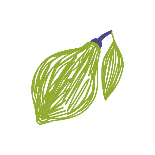 石灰水果草图。颜色向量插图。用钢笔或马克笔涂鸦图片下载