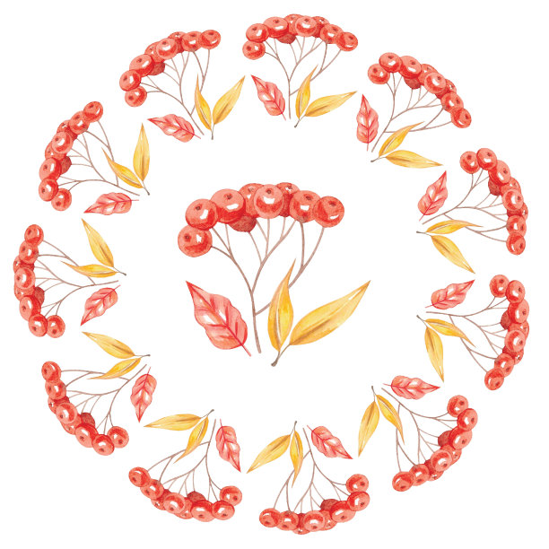 水彩秋天花楸花环红色浆果图片下载