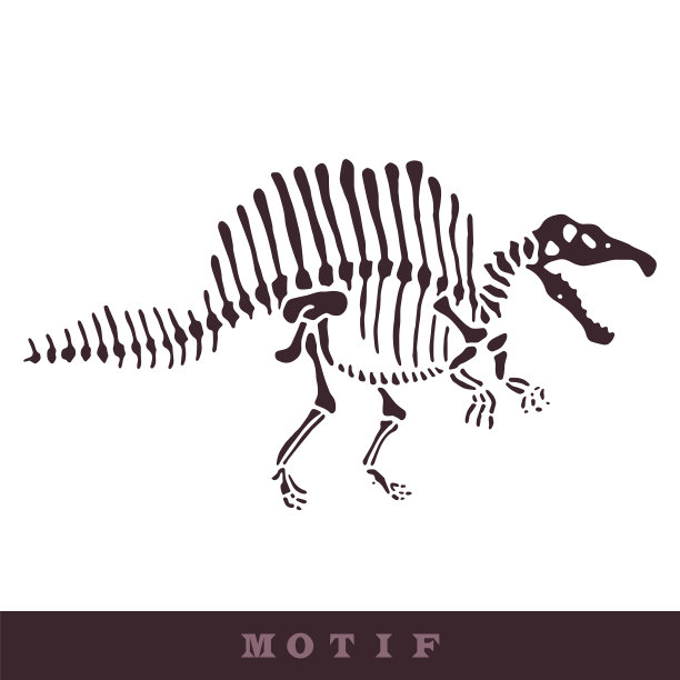 手绘棘龙恐龙化石无缝图片下载