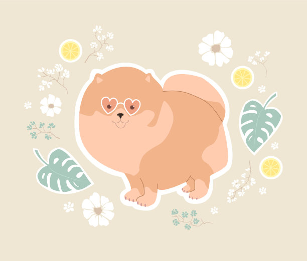 博美犬在粉红色的眼镜可爱的印花图片下载