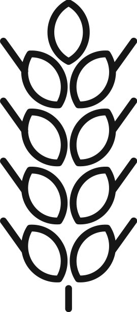 小麦图标勾勒有机花园图片下载