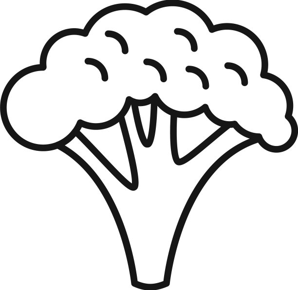 生态西兰花图标概述农场农业图片下载