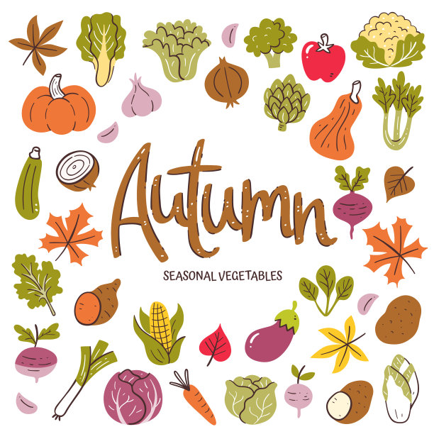 秋季时令蔬菜背景图片下载