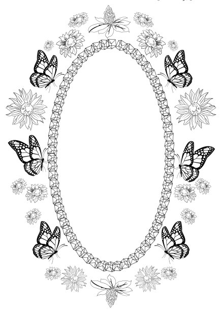 黑白相间的蝴蝶图片下载