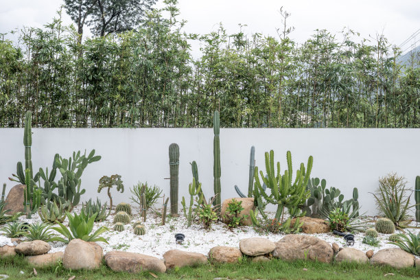 白色的墙图片下载