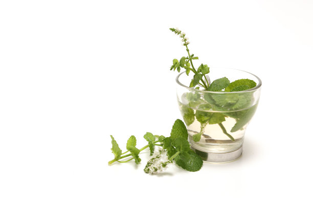 薄荷茶放在一个白色背景的杯子里。图片下载