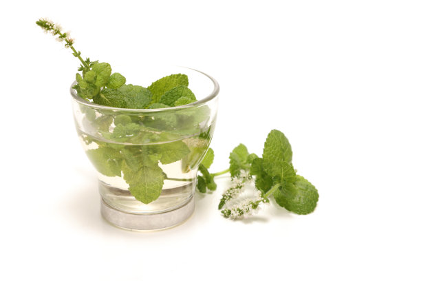 薄荷茶放在一个白色背景的杯子里。图片下载